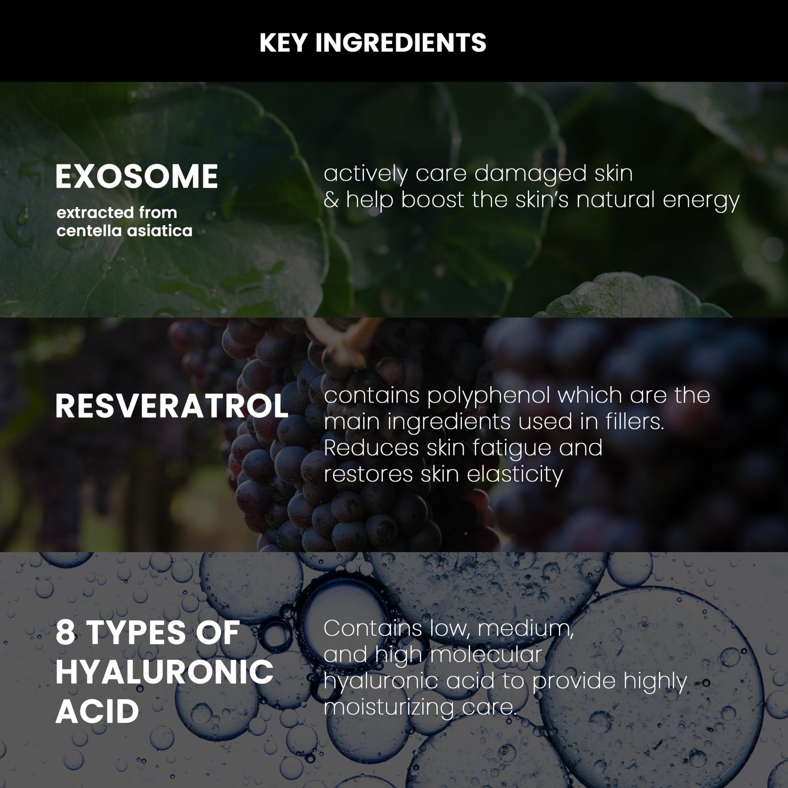 DERMALOGY High R Exosome Cream label highlights key ingredients and benefits.