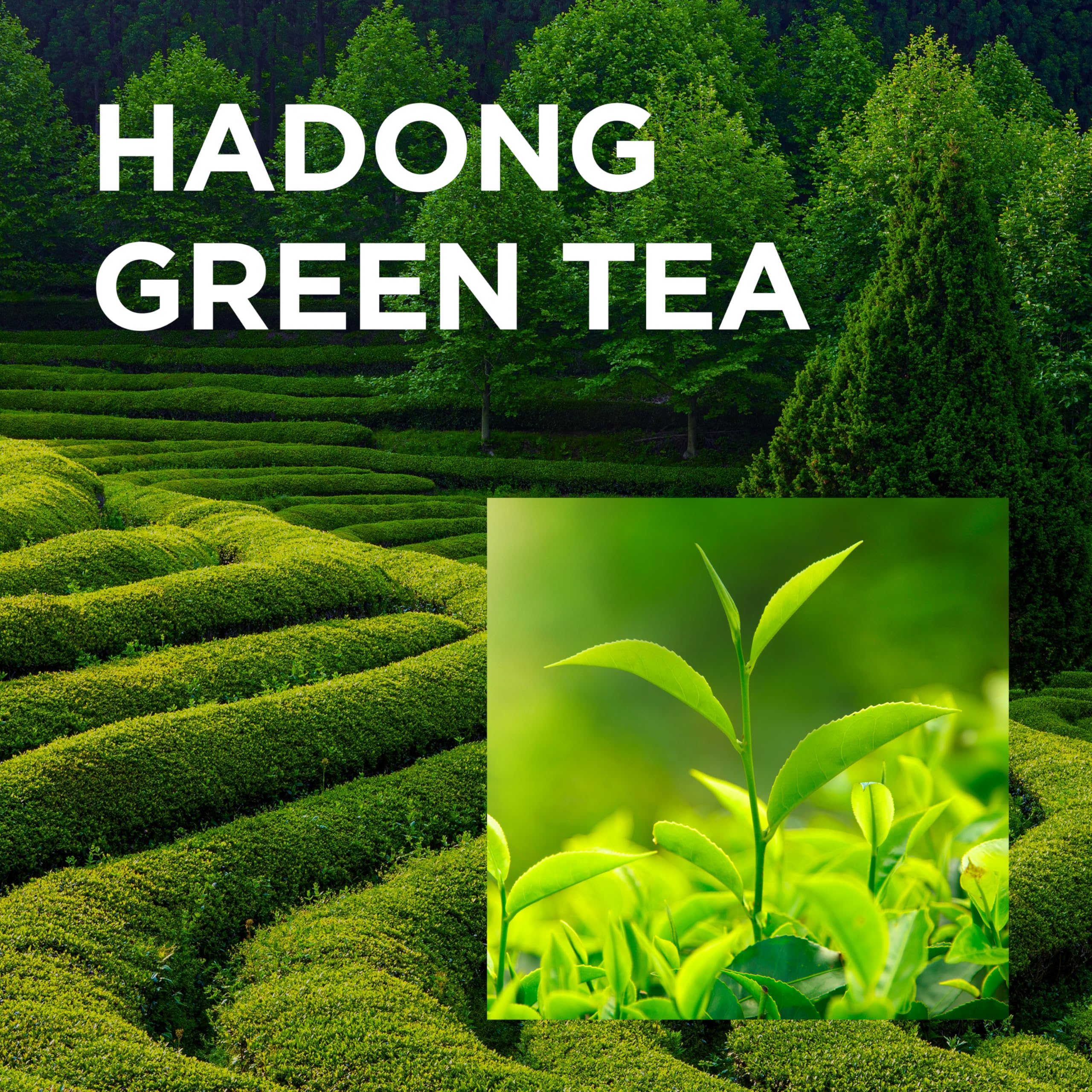 dermalogy neogen green tea softening skin close-up shows calming hydration after use