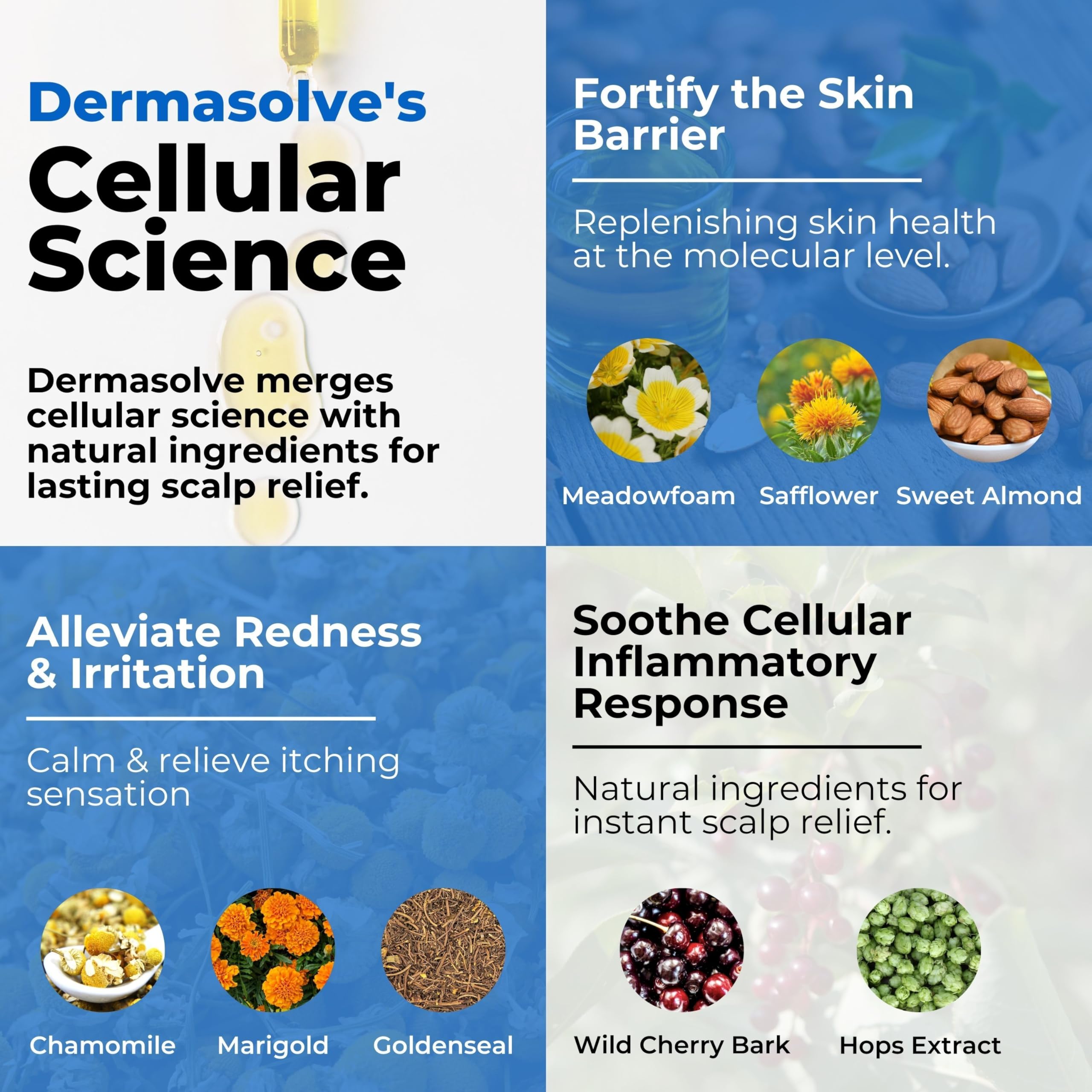 Dermasolve meadowfoam ingredient close-up emphasizes hydration.