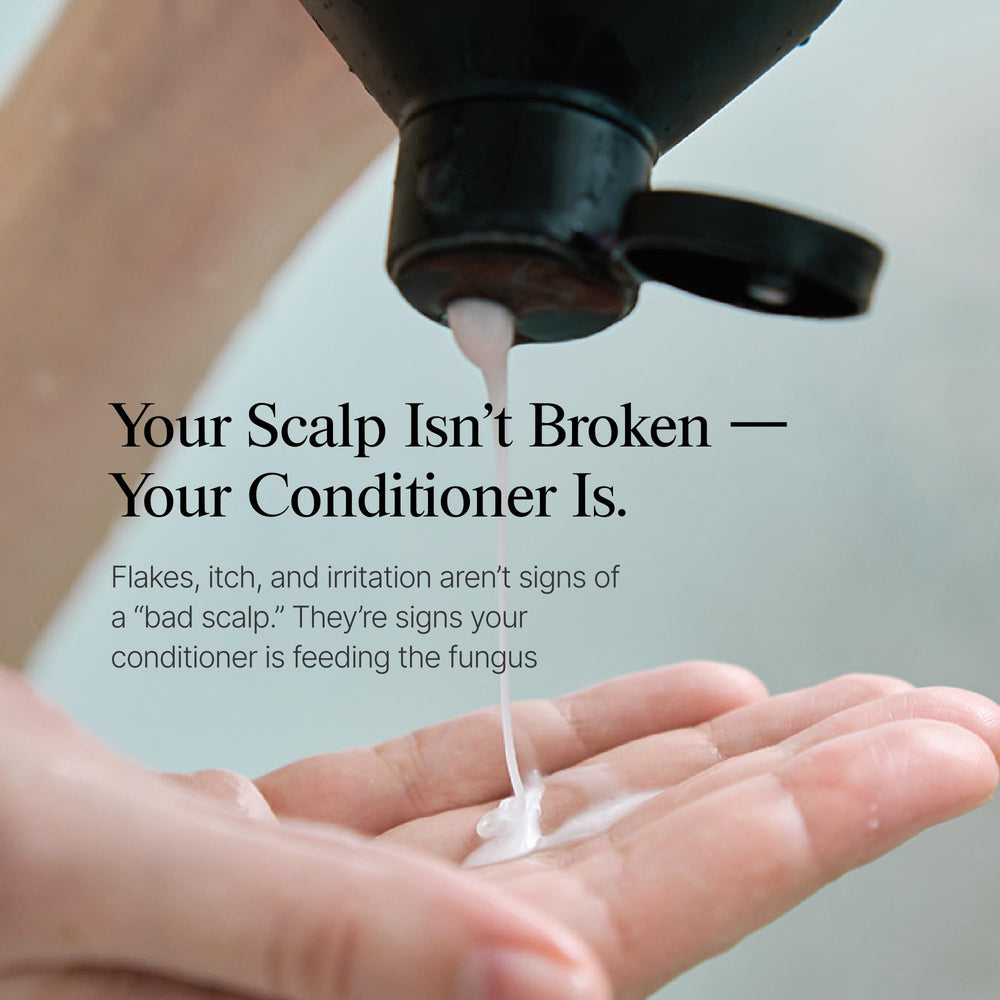 Dermazen Nourishing Conditioner frizz-control-shine delivers smoother, shiny hair