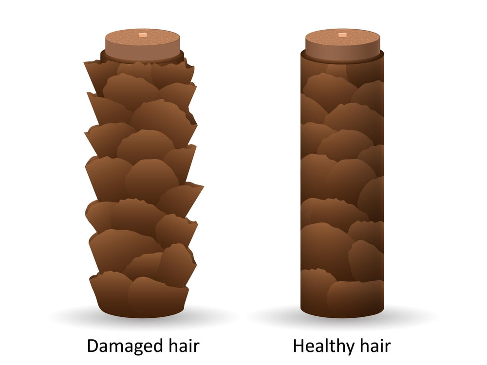 DermOrganic original argan oil leave-in close-up ingredients emphasizes vitamin E and antioxidants.