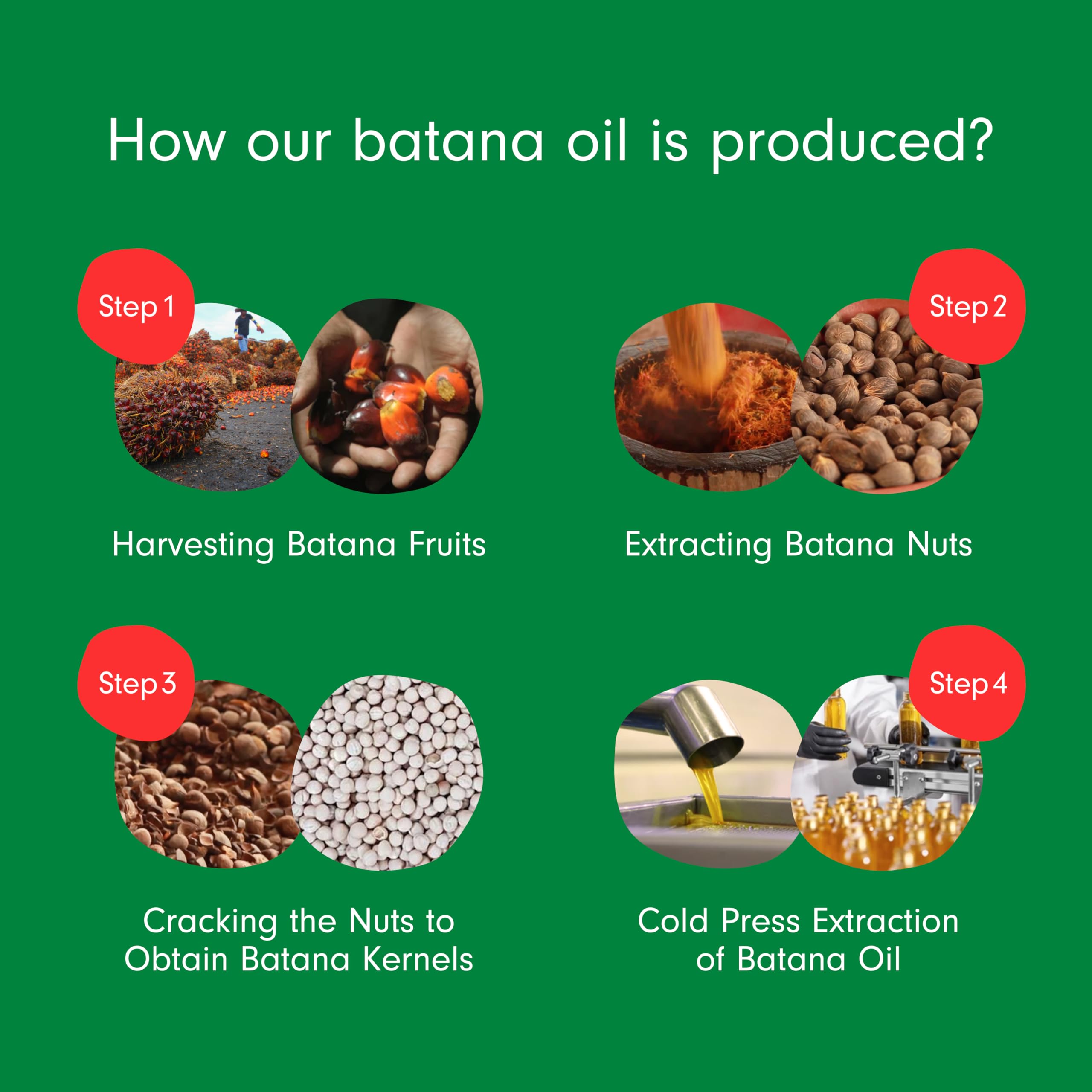 Dersie Batana Oil origin Honduras, authentic raw oil for hair nourishment.