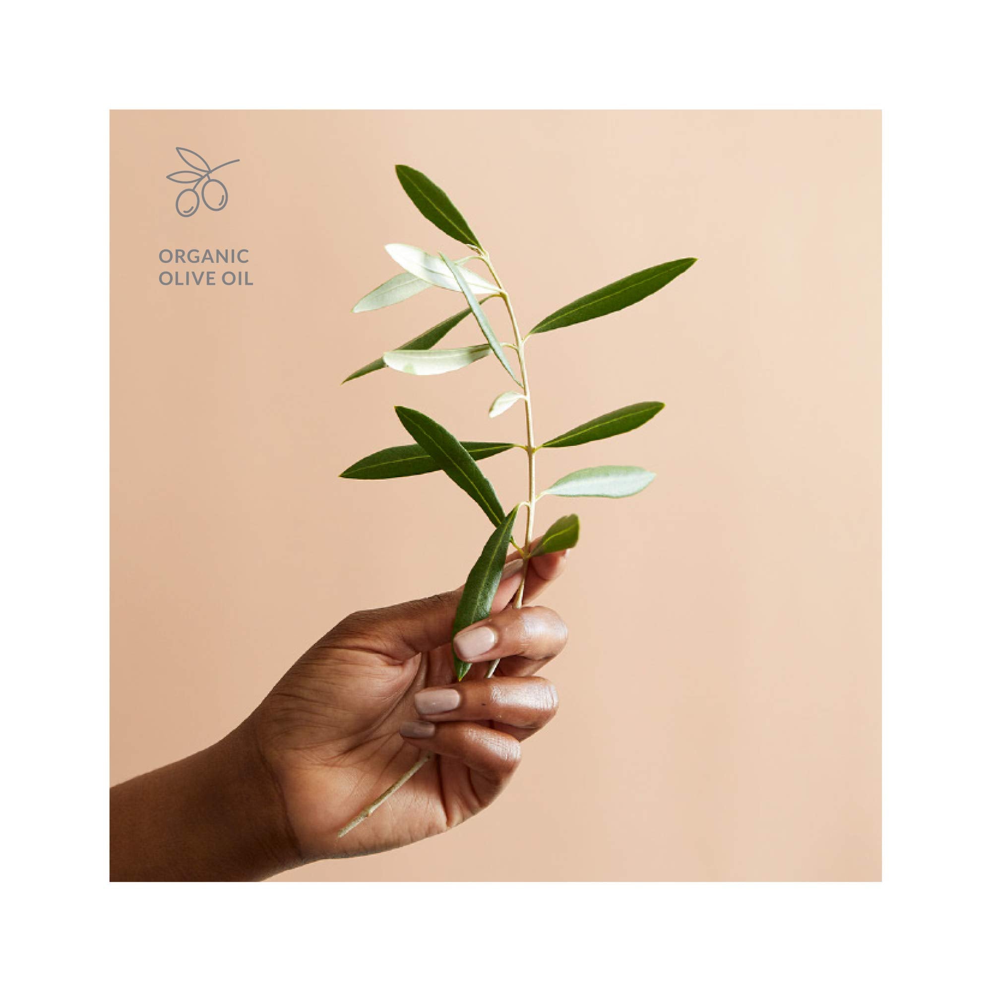 Dry hands apply DHC Deep Cleansing Oil Medium to cleanse skin.