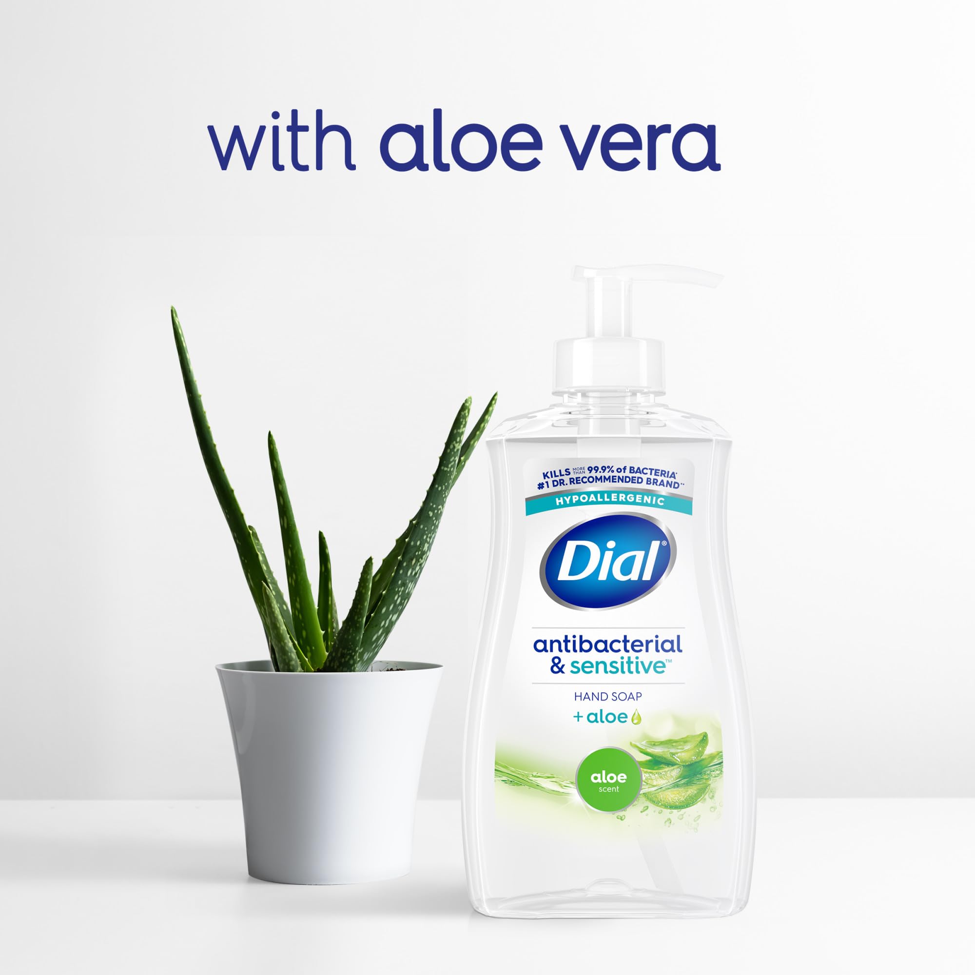 Dial 12-pack display of Dial antibacterial defense bottles