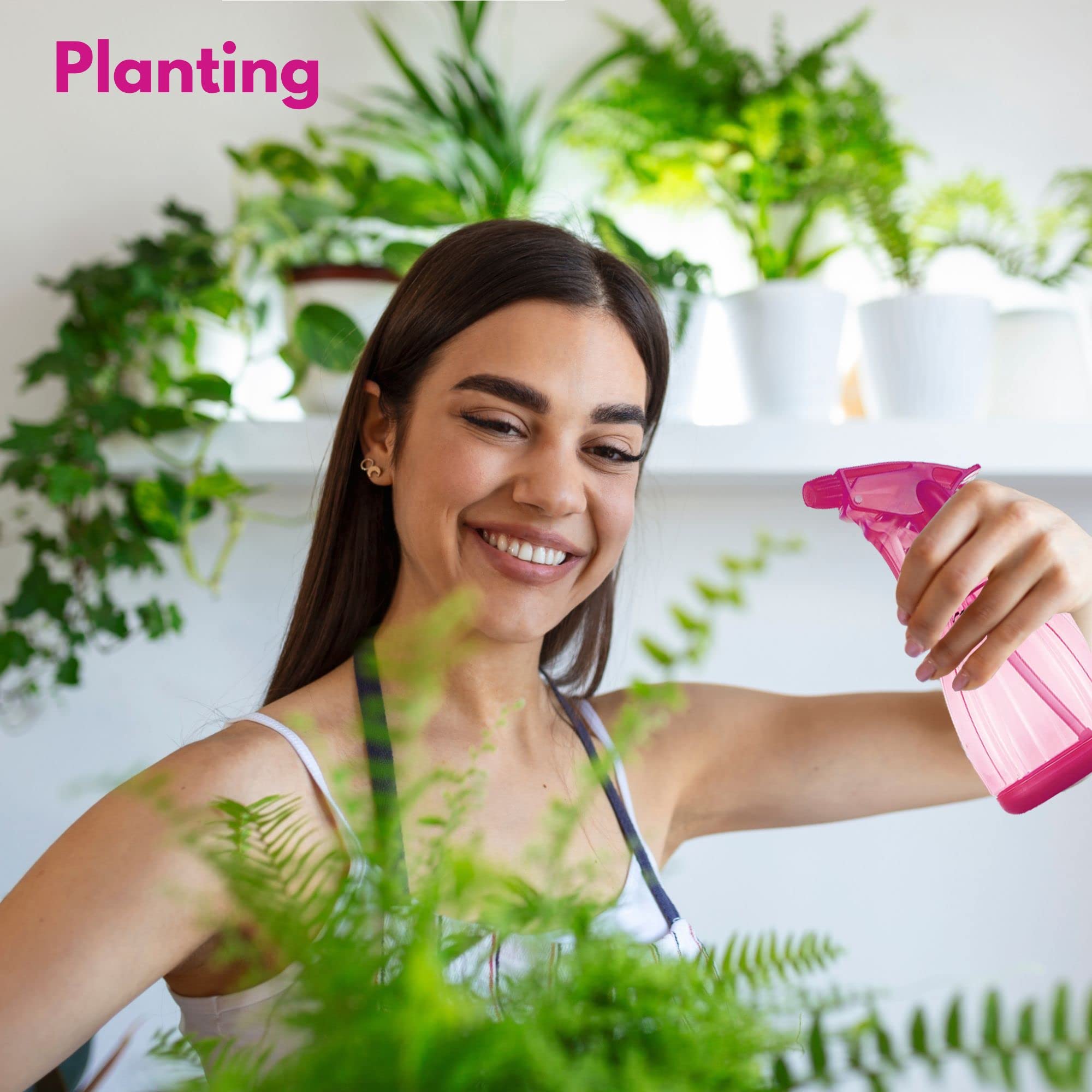 DilaBee purple bottle adds cheerful color for watering plants and DIY sprays