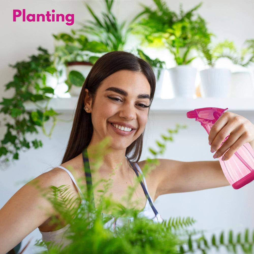 DilaBee purple bottle adds cheerful color for watering plants and DIY sprays