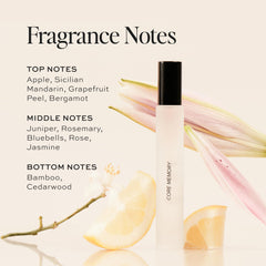 DIME Core Memory fragrance middle notes include rose and jasmine for subtle bloom.