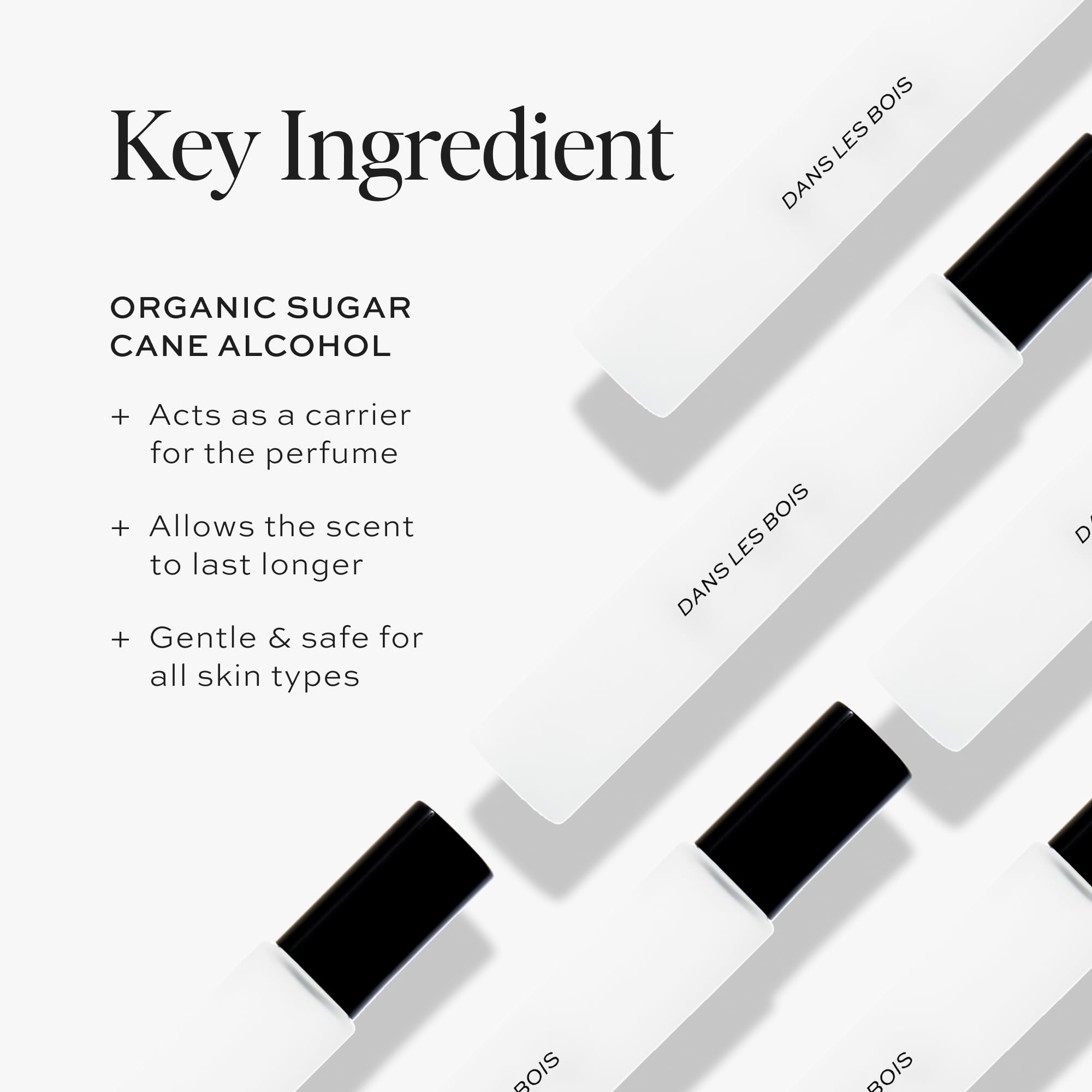 DIME Beauty Dans Les Bois base notes image emphasizes grounding cedar finish for lasting impression.