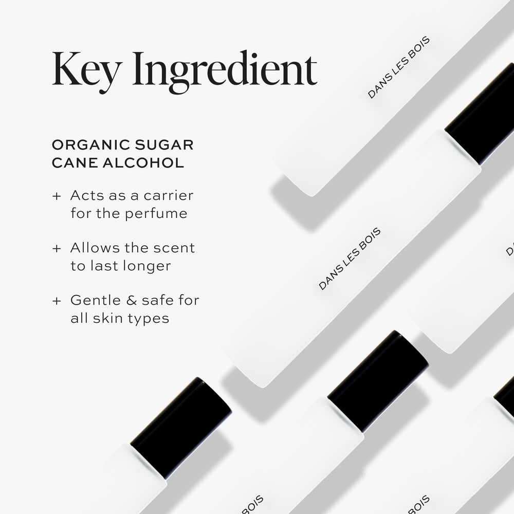 DIME Beauty Dans Les Bois base notes image emphasizes grounding cedar finish for lasting impression.