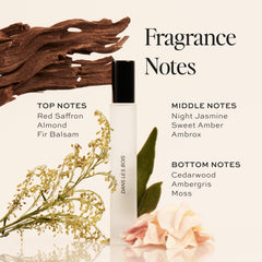 DIME Dans Les Bois packaging highlights travel-friendly, eco-conscious design and clean ingredients.