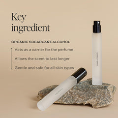 DIME Beauty Signature Fragrance Duo Dans Les Bois pour evokes cedarwood warmth and fresh blooms.