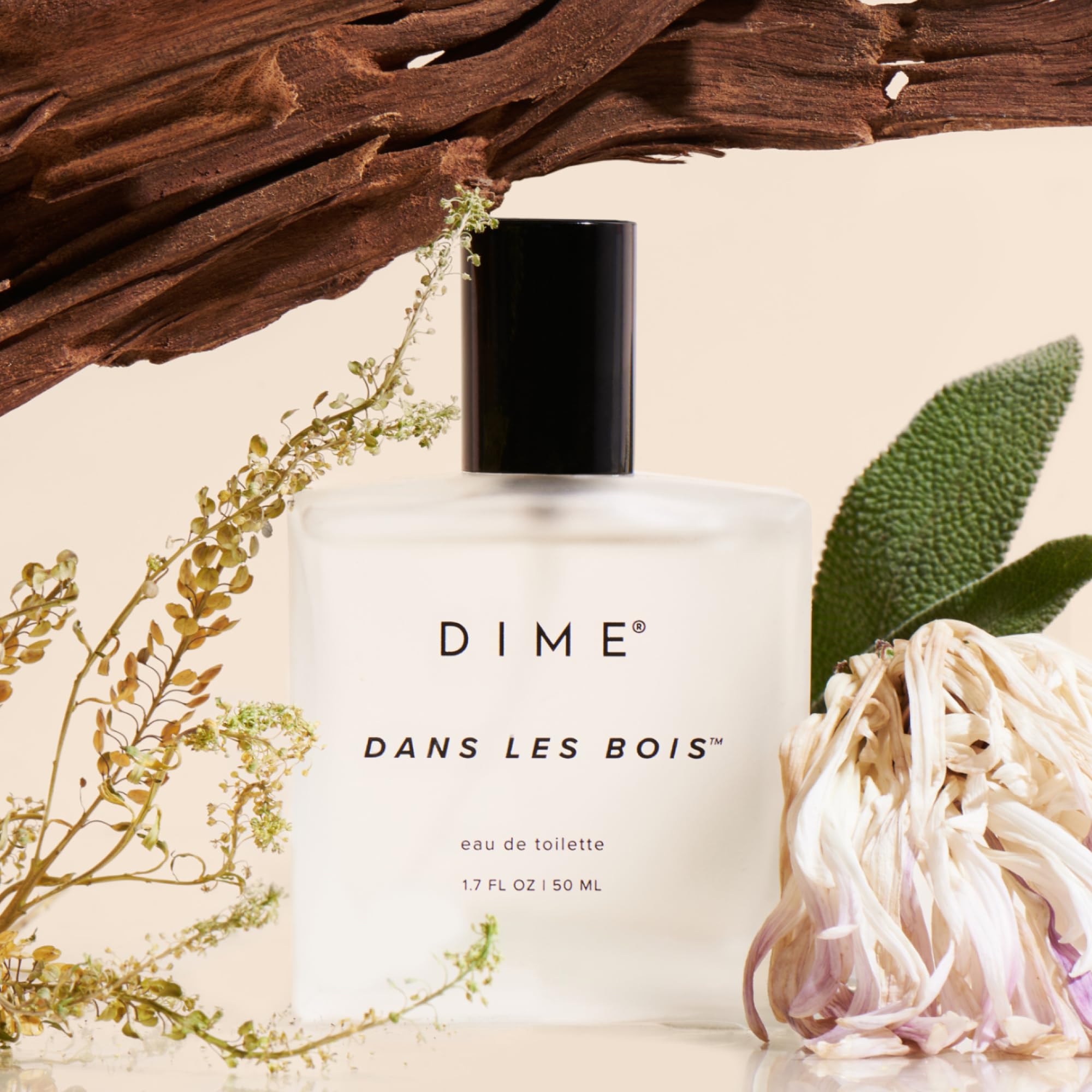 DIME Dans Les Bois top notes visual highlighting fresh opening with saffron and fir