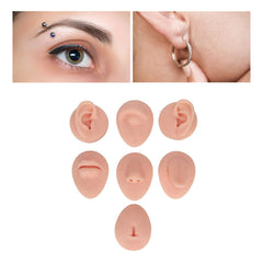 Dioche soft silicone model mouth-tongue for lip and tongue piercing practice.