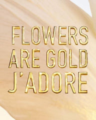 Dior J'adore L'or heart note jasmine grandiflorum adds luxe romance.