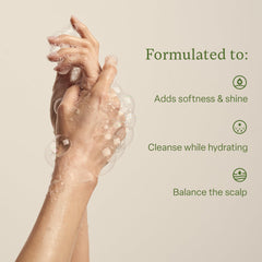 Divi Hydrating Shampoo tea tree oil droplets promoting clean, balanced scalp.