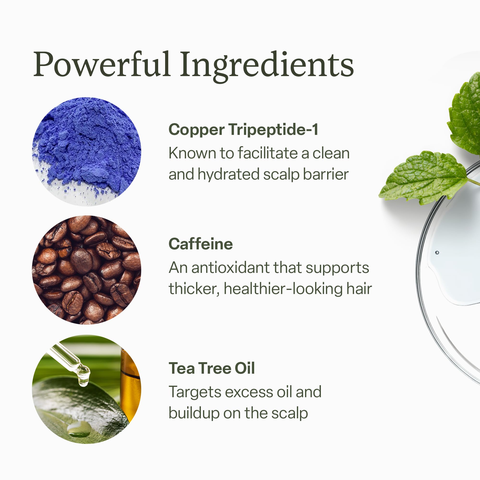 Divi Scalp Serum used daily during morning routine for a clean, balanced scalp