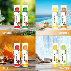 DMSKY lip balm uses beeswax and natural ingredients supports gentle lip care