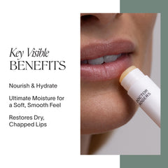 Doctor Rogers Lip Balm pack of three tubes for daily hydration