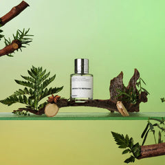 Dossier Aromatic Bergamot spray opening with mint and pineapple for daytime freshness