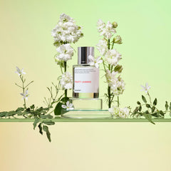 Dossier Fruity Jasmine cap closeup showcases jasmine-ylang-ylang bouquet for romance.