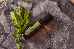 doTERRA Melaleuca Tea Tree bottle closeup highlights cleansing aroma