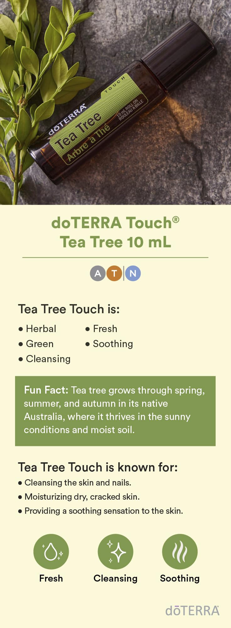 doTERRA Melaleuca Touch roll-on cap showing spill-free design