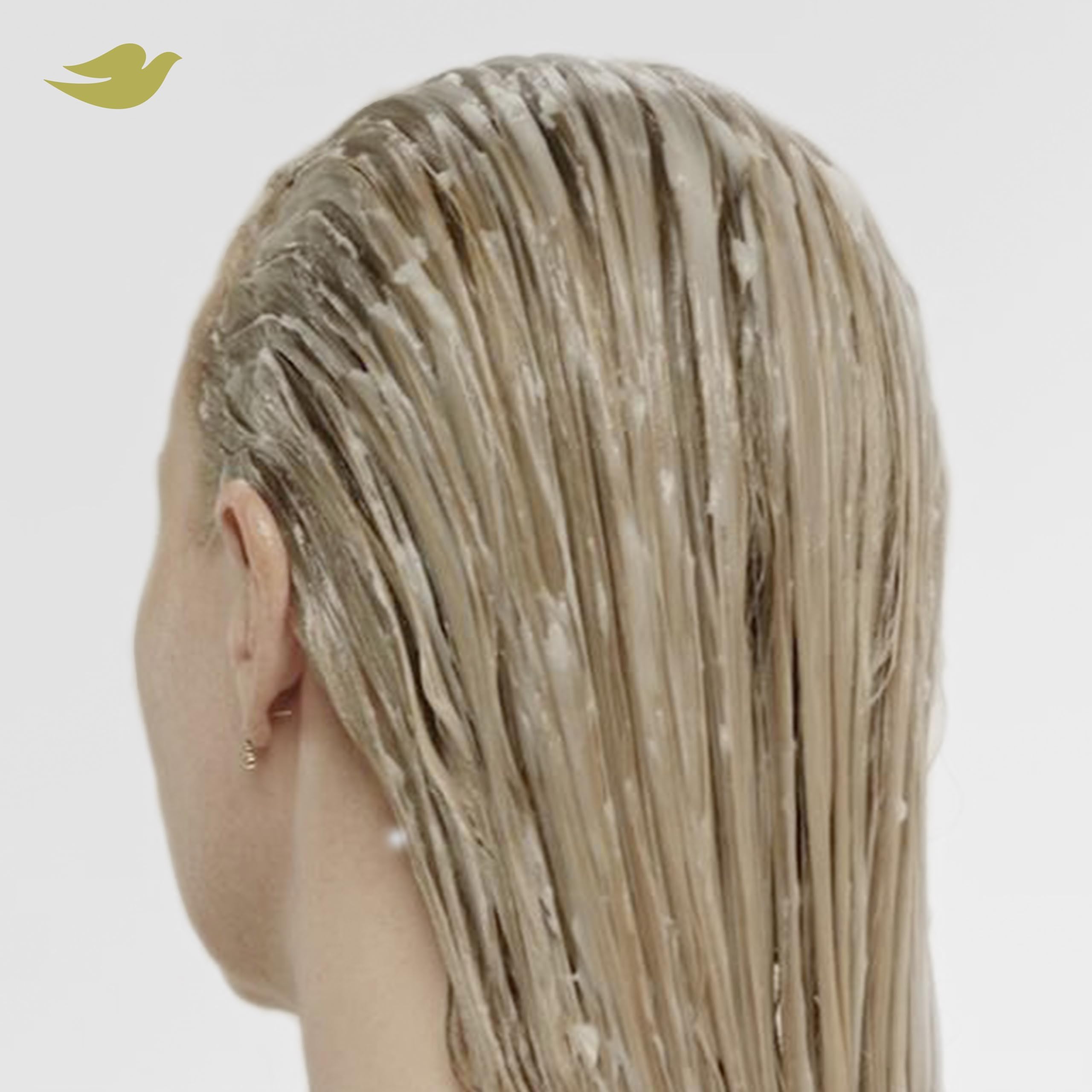 Dove Bond Frizz control closeup suggests smooth, manageable hair