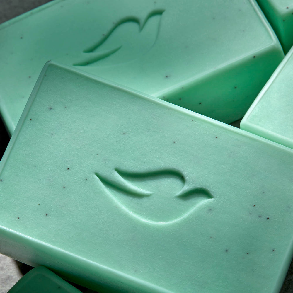 Dove Men+Care four-bars-pack-shot displays value for family routine