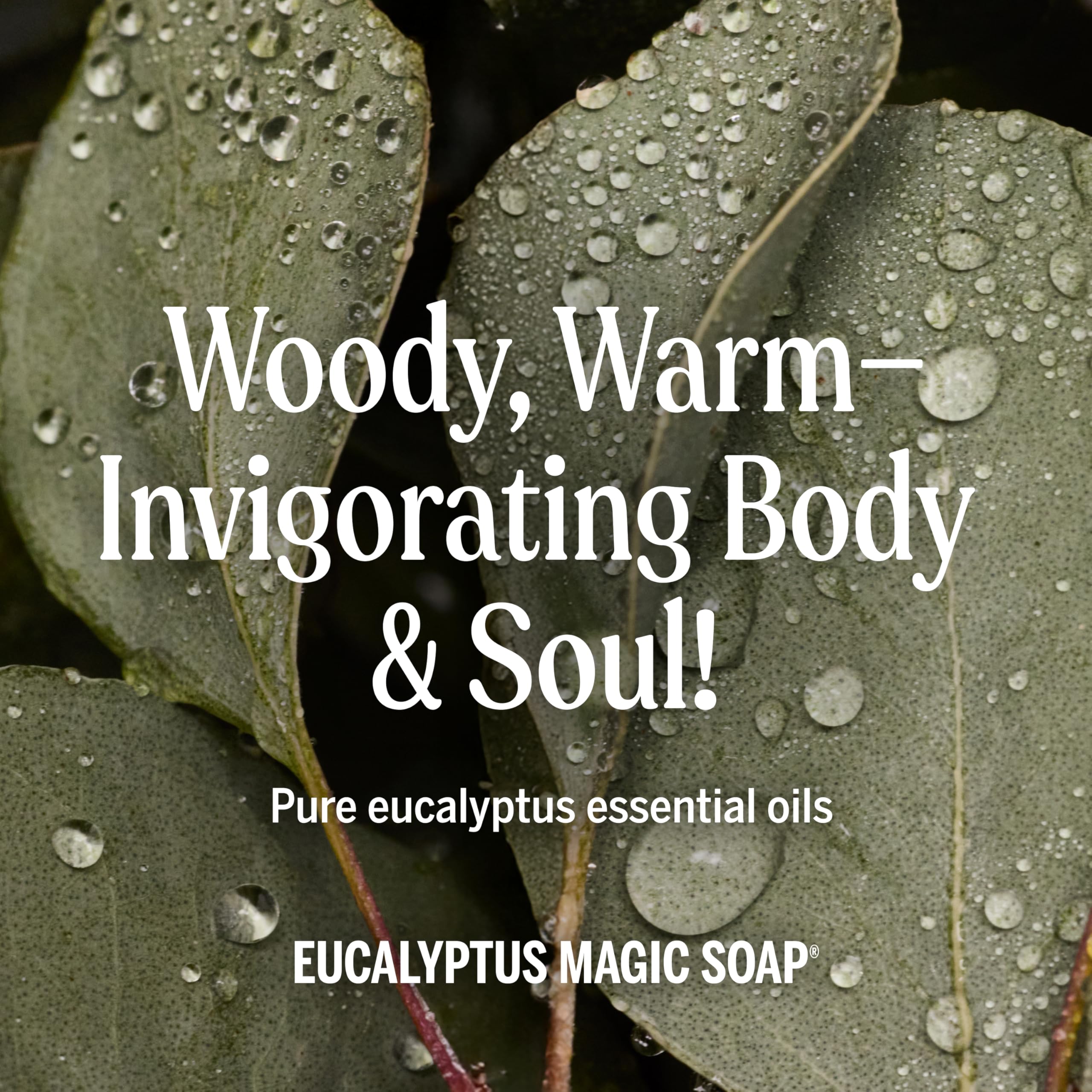 Dr. Bronner's eucalyptus castile soap used for dishes in a kitchen setting