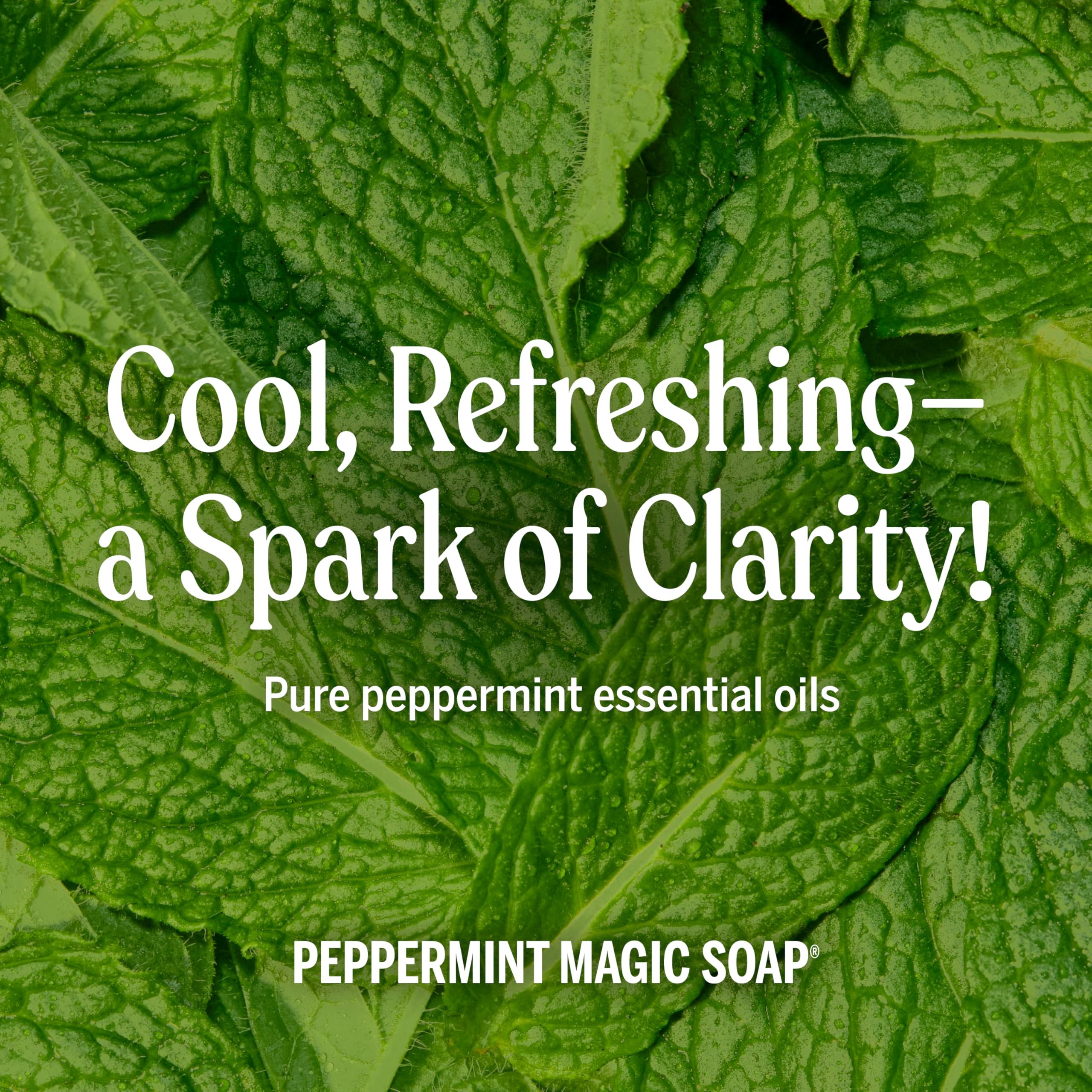 Dr. Bronner's castile soap ingredients banner emphasizes no synthetic detergents.