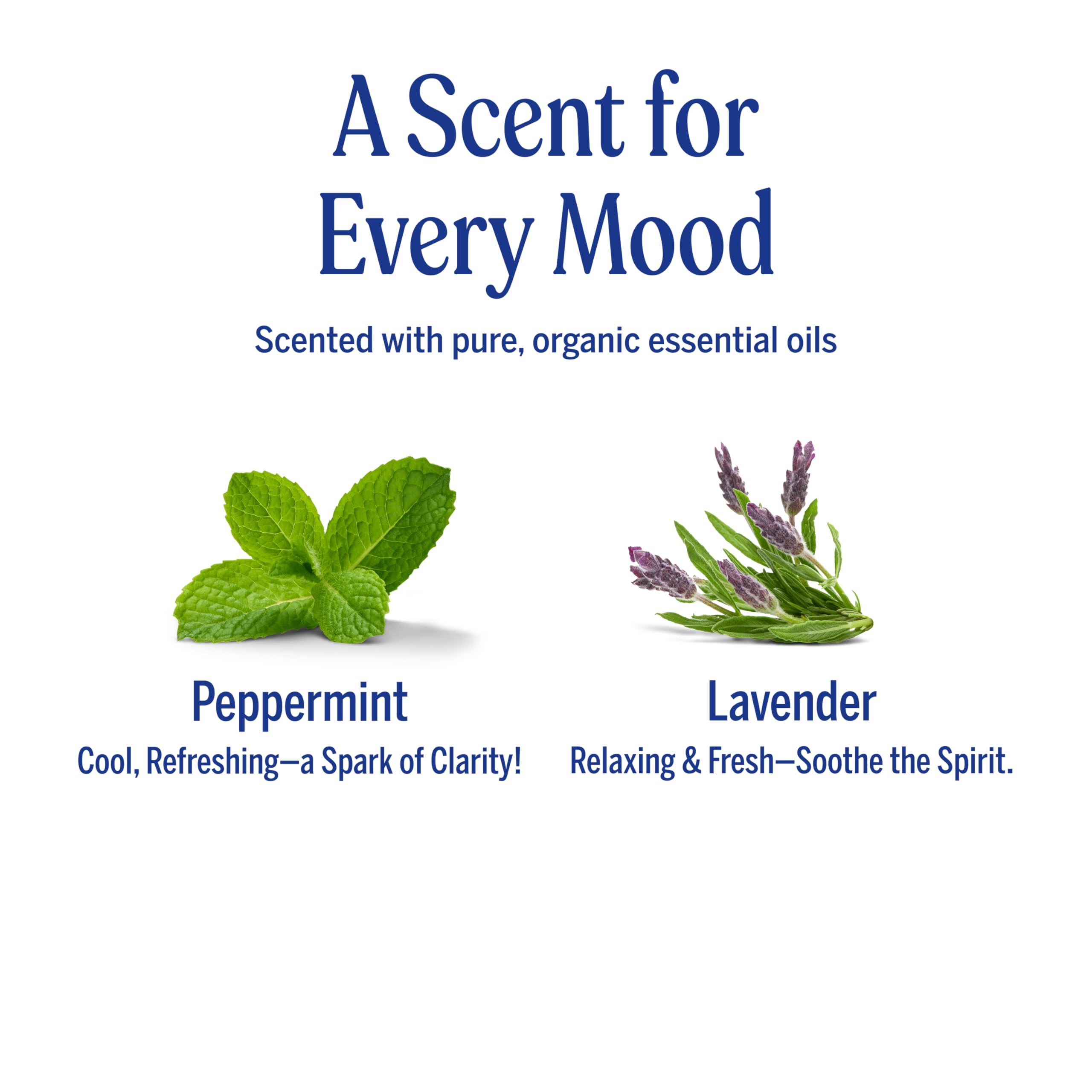Dr. Bronner's Organic Hair Crème dispense close-up demonstrating easy application