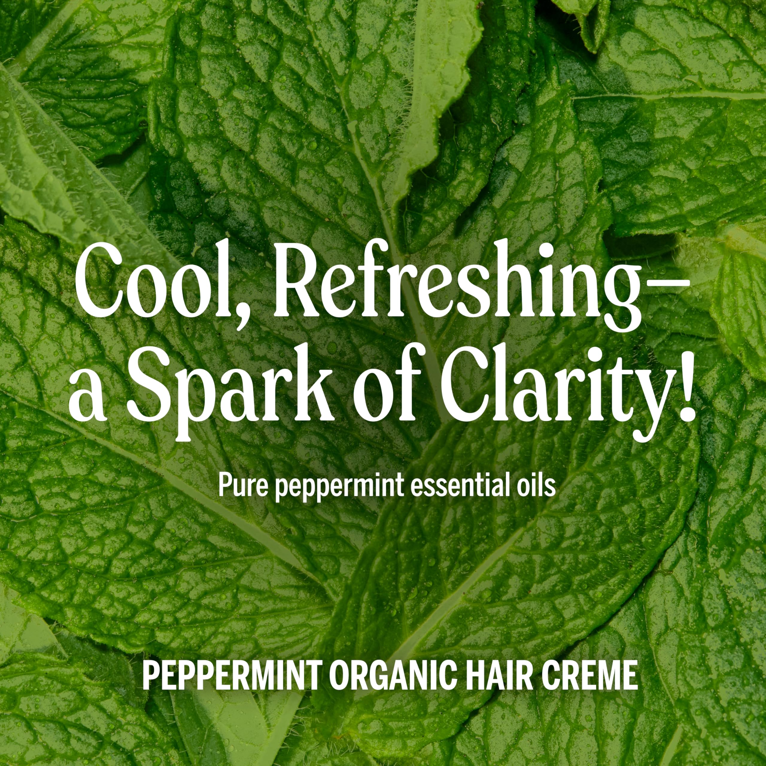Dr. Bronner's Organic Oils (jojoba and hemp) emphasize conditioning and moisture.