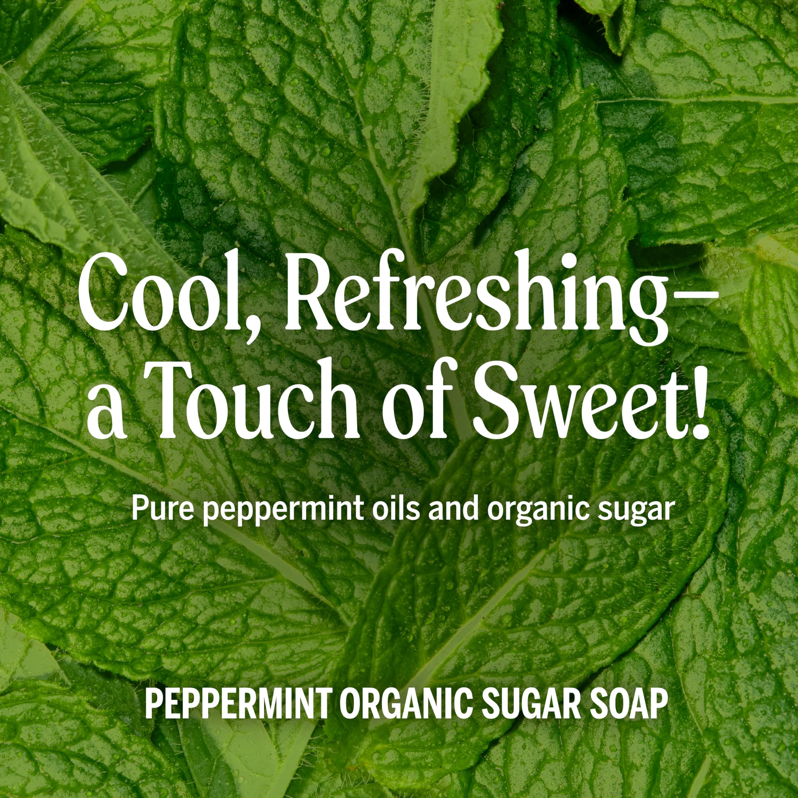 Dr. Bronner's Peppermint soap used on body for refreshing cleanse