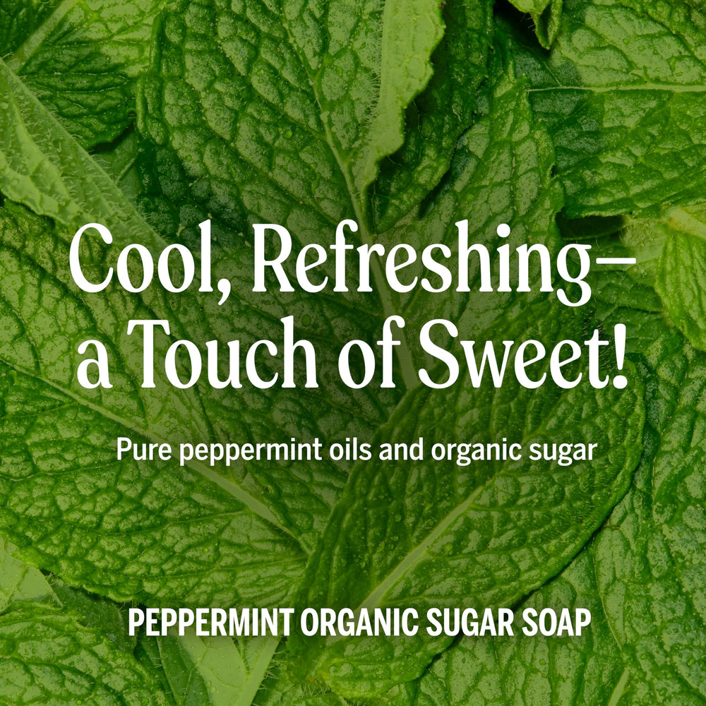 Dr. Bronner's Peppermint Sugar Soap suds foaming during shower, a refreshing cleanse