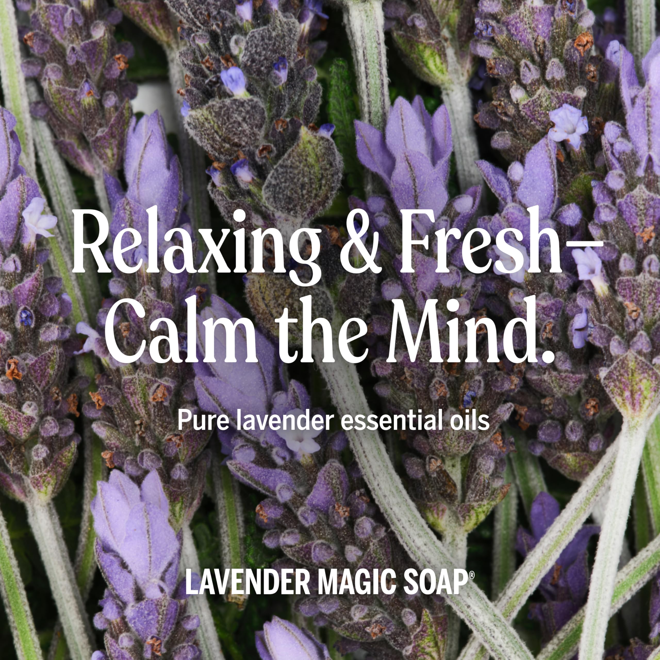 Dr. Bronner's lavender pet-bath setup showcases safe grooming for pets.