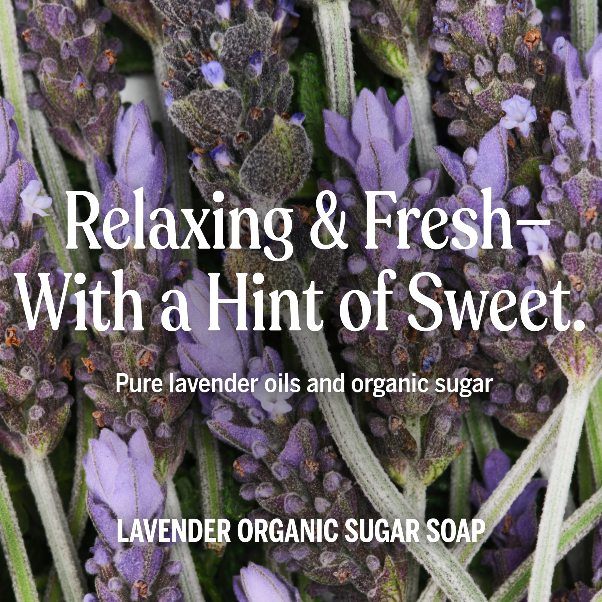 Dr. Bronner's pure lavender essential oils highlight calming scent in the bottle.