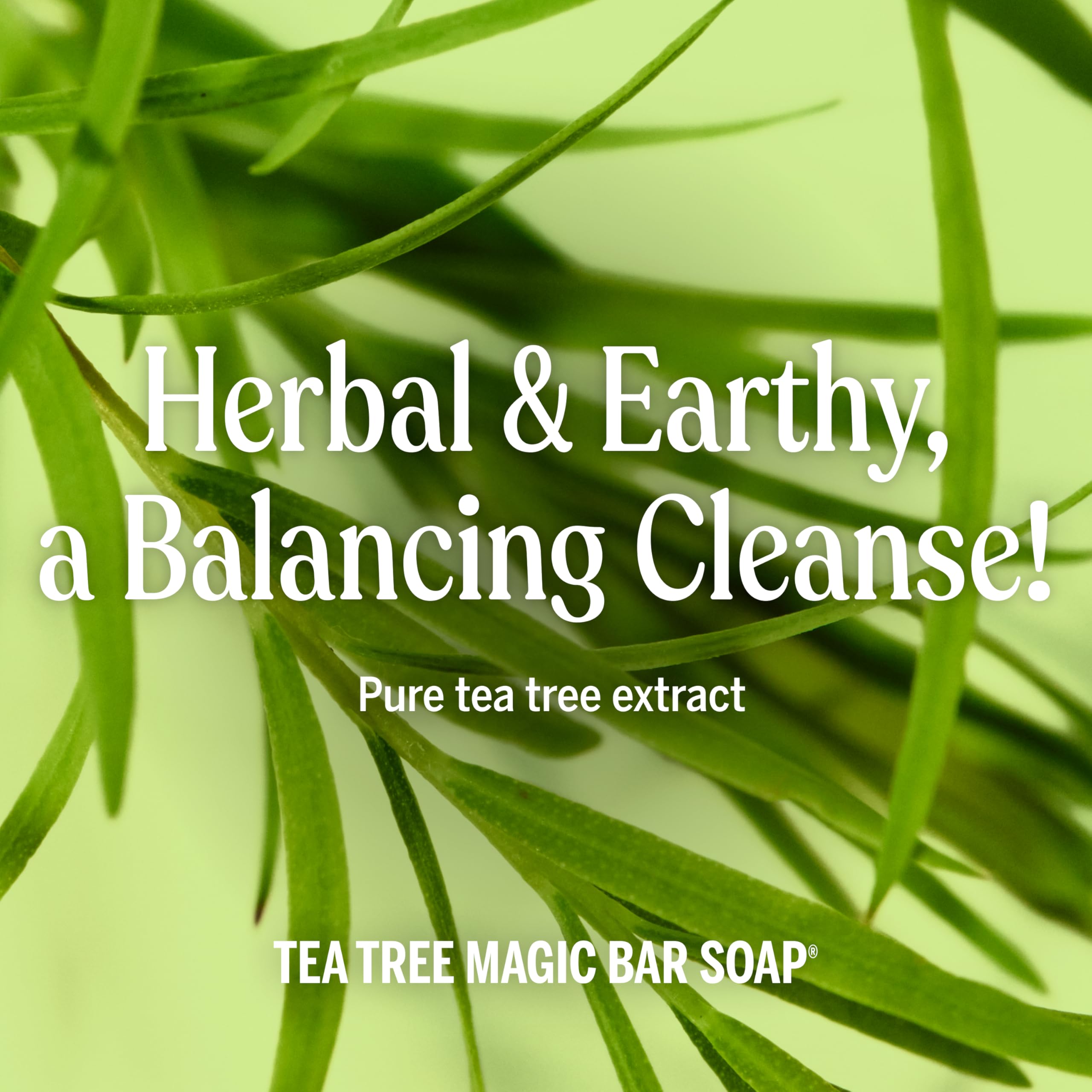 Dr. Bronner's Tea Tree Bar in shower setup for daily body care.