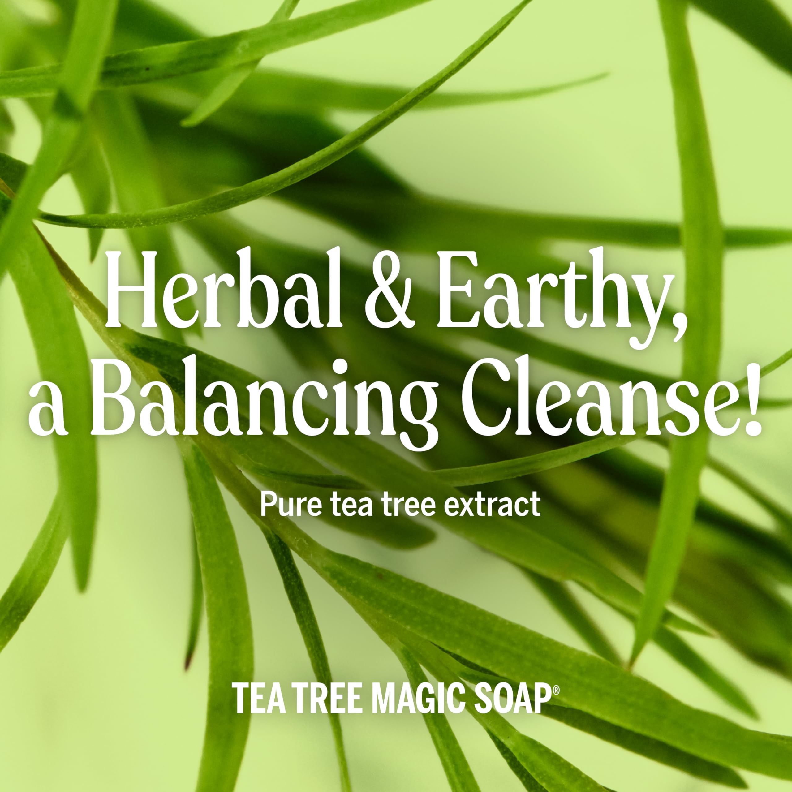 Dr. Bronner’s Tea Tree Pure-Castile post-consumer recycled bottle highlights eco-friendly packaging.