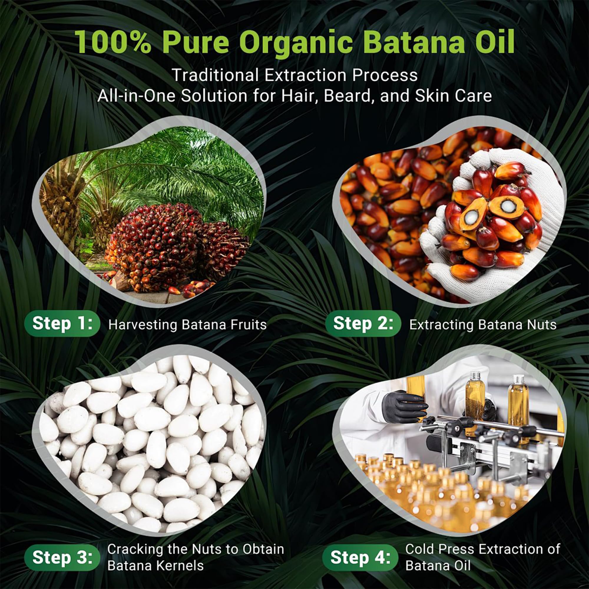 Dr. Healdy Batana Oil being poured for scalp nourishment and easy application.