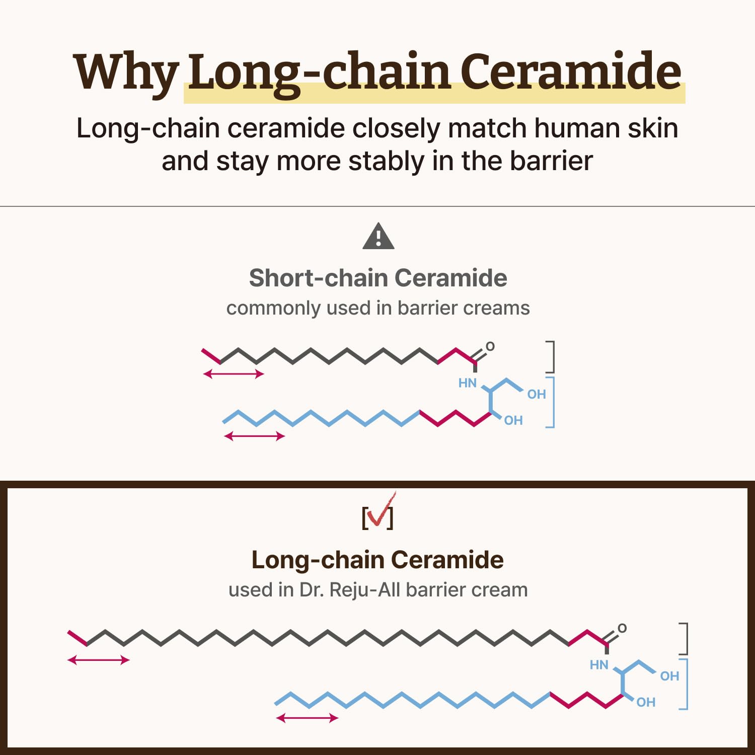 Dr. Reju-All long-chain ceramide close-up emphasizes barrier-strengthening properties.