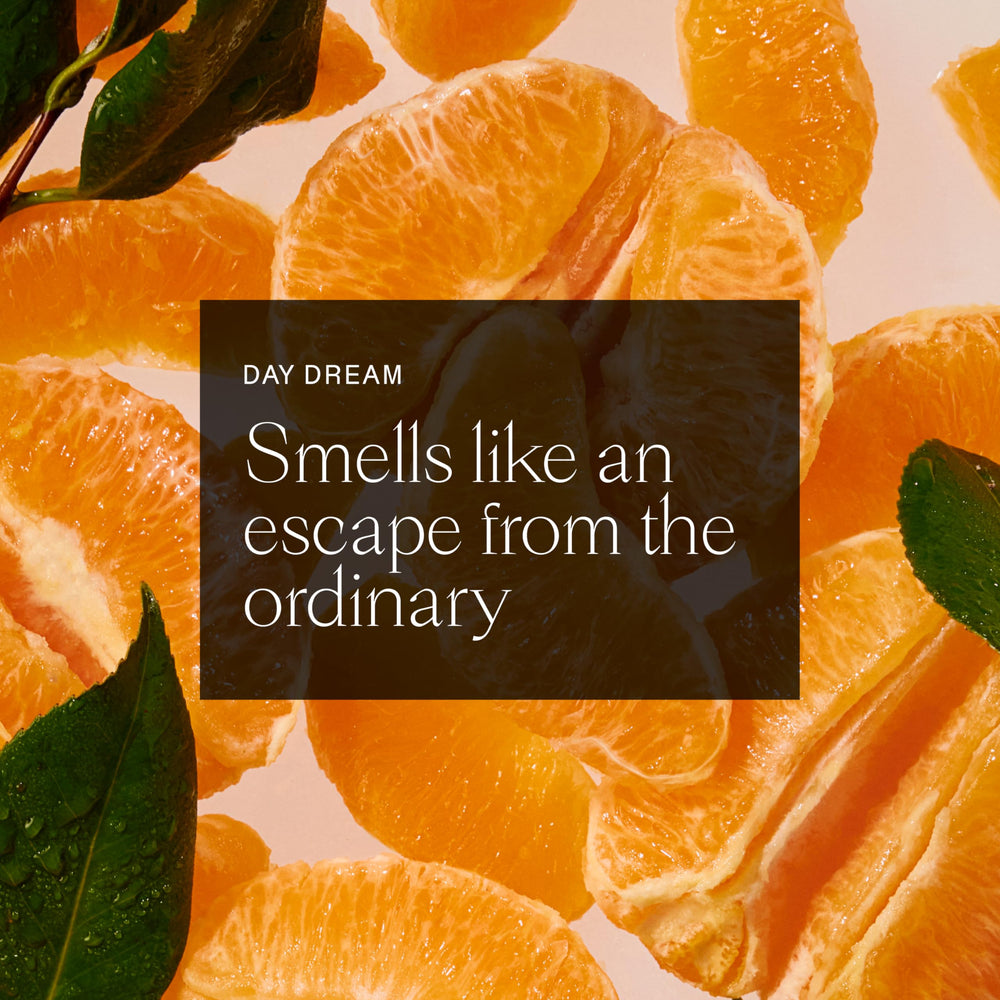 Each & Every plant-based fragrance hint evokes clean, fresh morning vibes.
