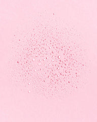 Earth Harbor Tidal Rose toner seaweed-ingredient detail for nourished skin