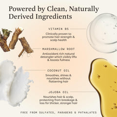 The Earthling Co. Shampoo Bar elderberry close-up for strengthened, resilient hair.