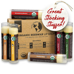Earth's Daughter lip balm 6-pack front view for gifting and daily lip care.