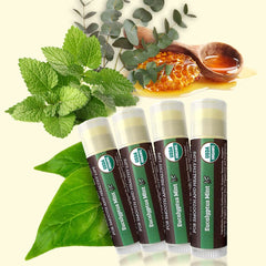 Earth's Daughter organic sunflower oil and beeswax nourish lips daily