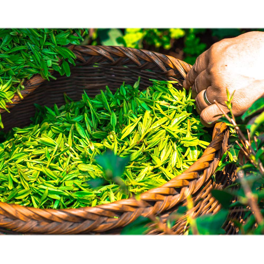 ECO amenities bar soap ideal for vacation rentals and hospitality stays