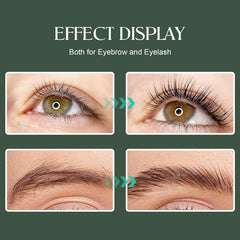 ECOFAN Lash Lift Kit avocado-extract bottle highlights nourishing ingredients during treatment.