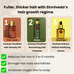 Applied oil on scalp and hair demonstrating prewash massage technique