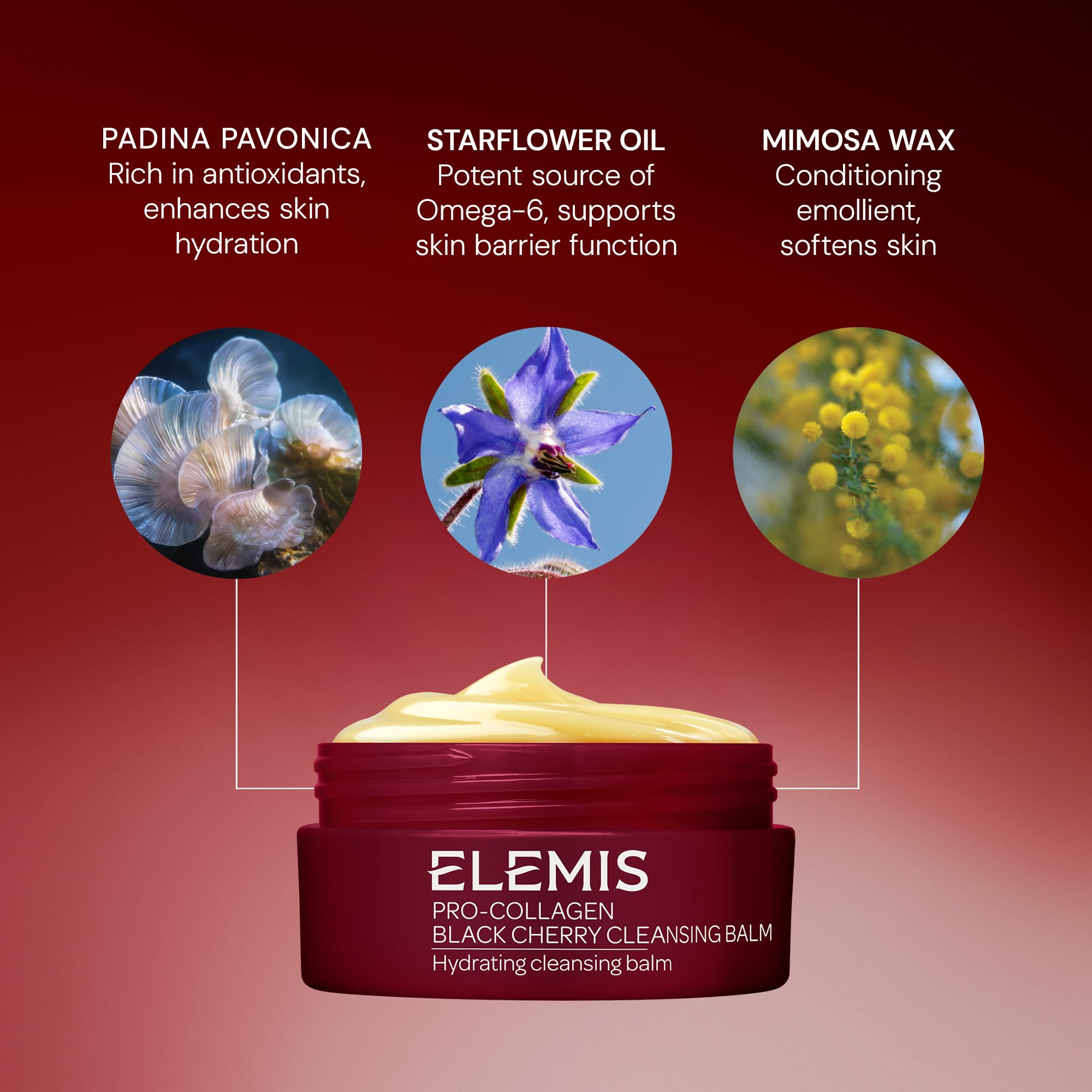 ELEMIS packaging highlights Padina Pavonica and Elderberry for nourishment