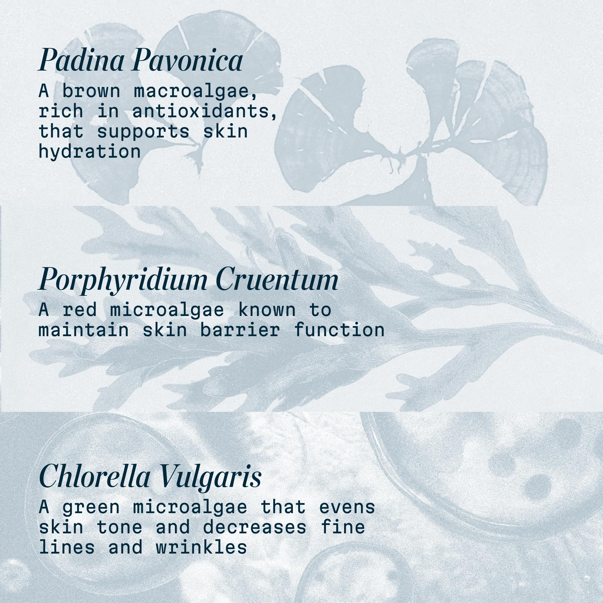 ELEMIS Pro-Collagen Marine Cream origin UK badge highlights craftsmanship.